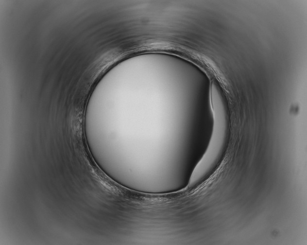 X0000097991225200804211055