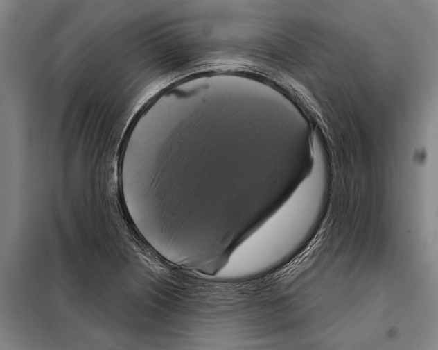 X0000097991226200804211055