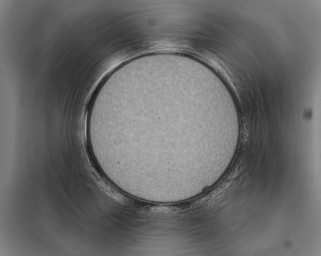 X0000097991227200804211055