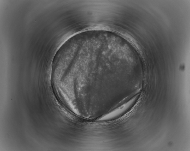 X0000097991228200804211055