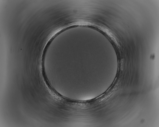 X0000097991229200804211055