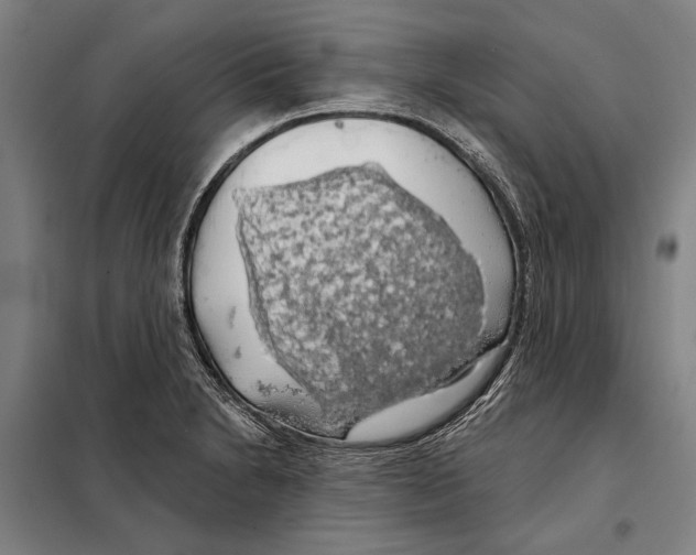 X0000097991230200804211055