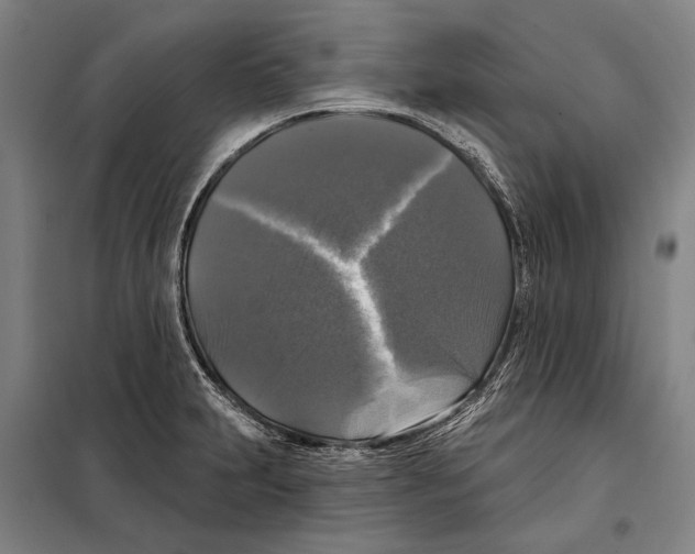 X0000097991231200804211055