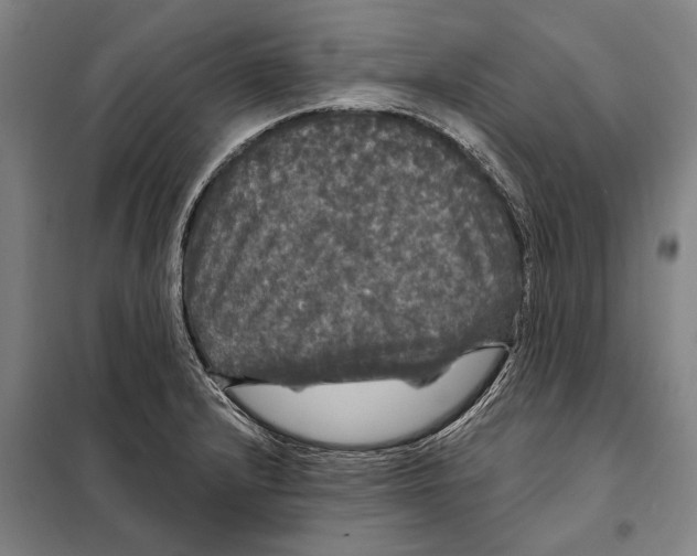 X0000097991232200804211055