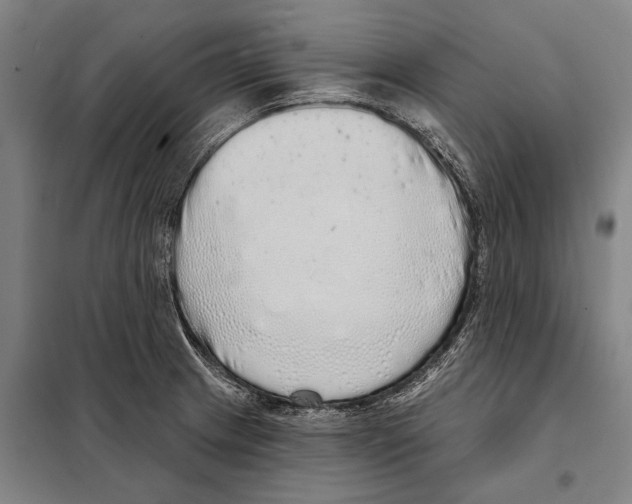 X0000097991233200804211055