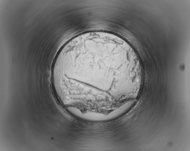 X0000097991234200804211055