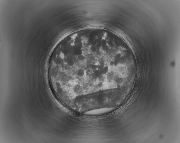 X0000097991235200804211055