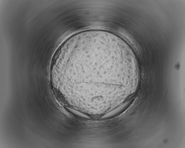 X0000097991236200804211055