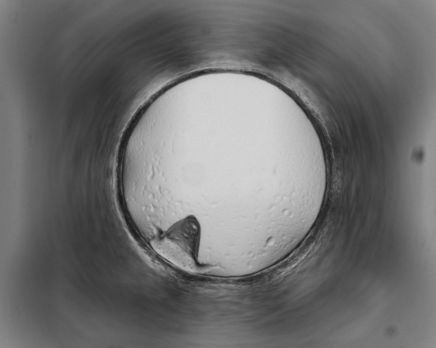 X0000097991237200804211055