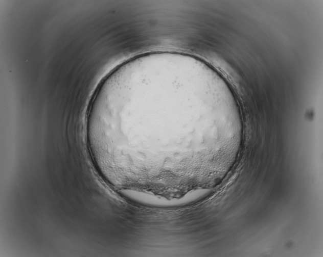 X0000097991238200804211055