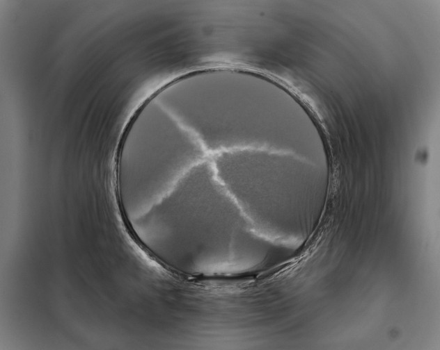 X0000097991239200804211055