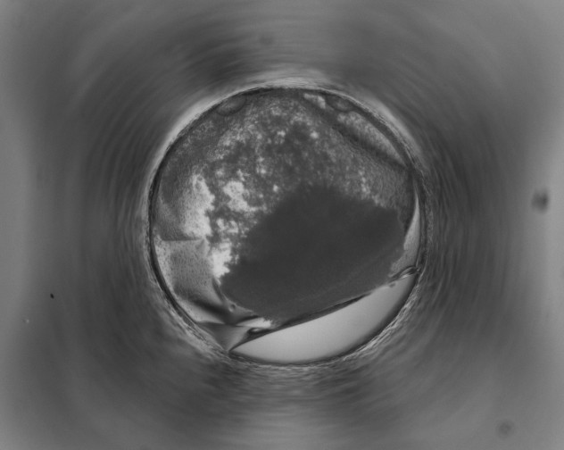 X0000097991240200804211055