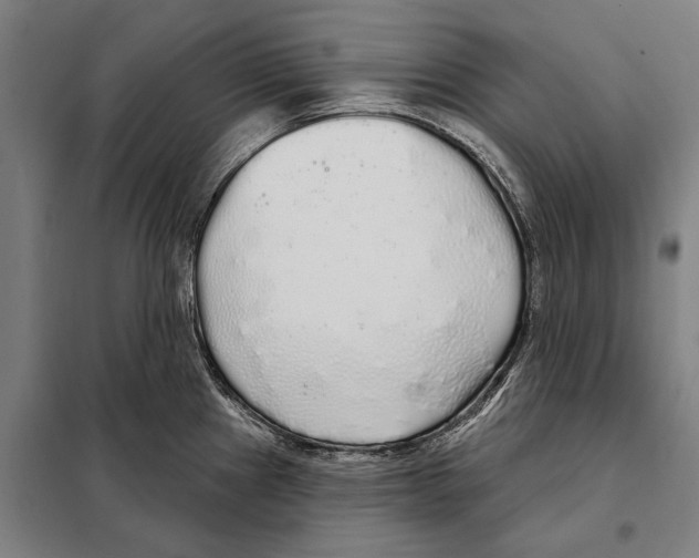 X0000097991241200804211055