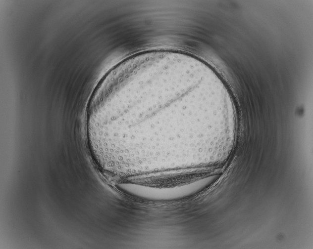 X0000097991242200804211055