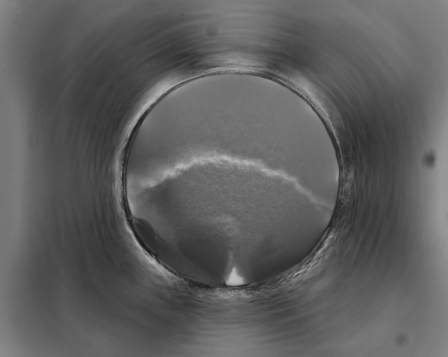 X0000097991243200804211055