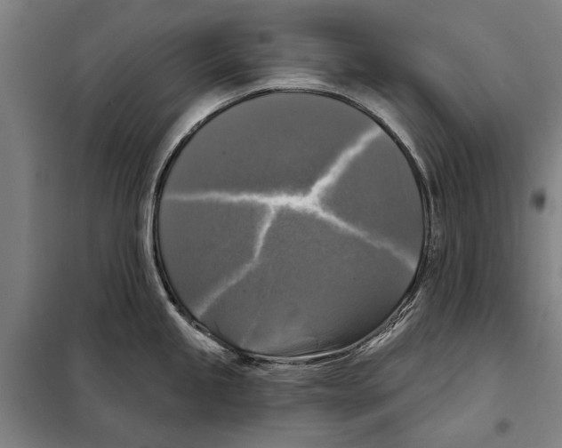 X0000097991245200804211055