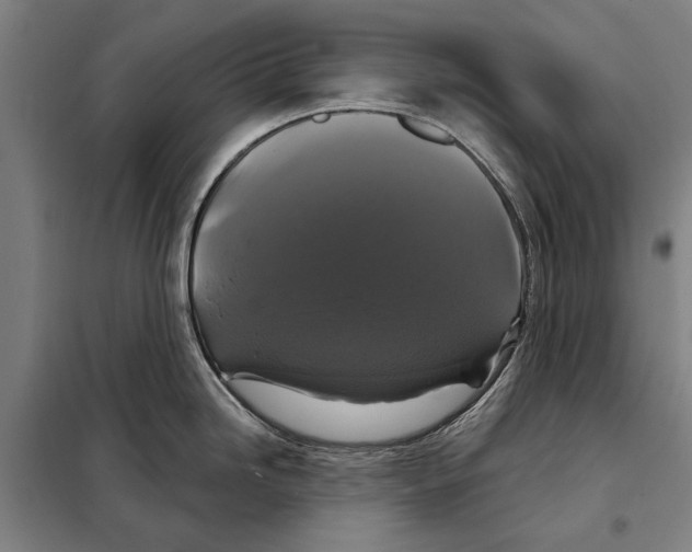 X0000097991246200804211055