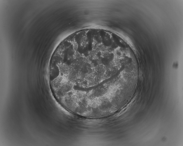 X0000097991247200804211055