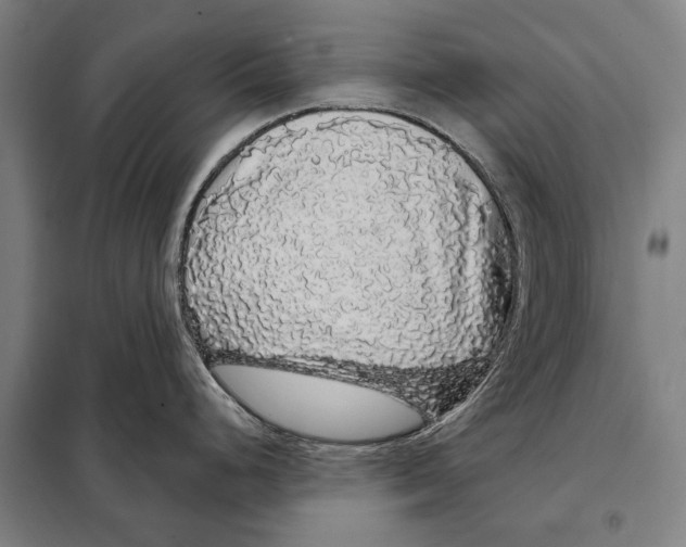 X0000097991248200804211055