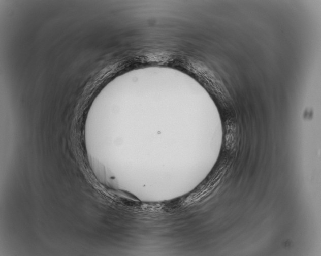 X0000097991249200804211055