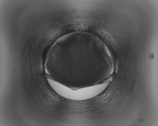 X0000097991252200804211055