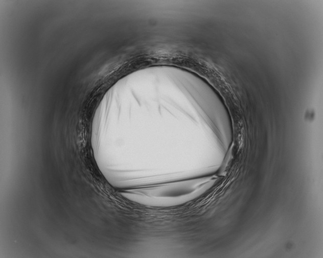 X0000097991253200804211055