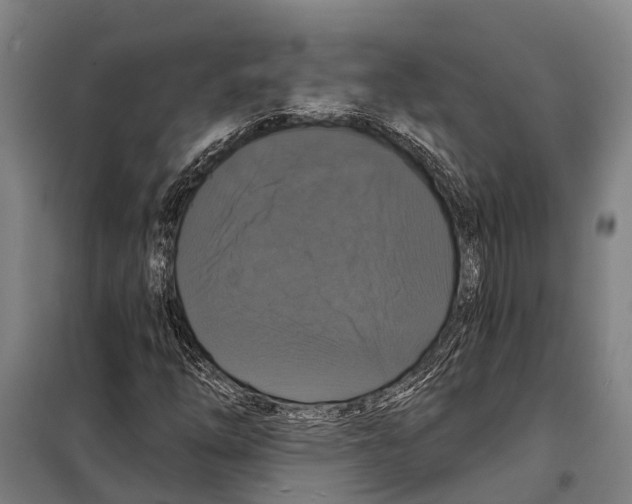 X0000097991254200804211055