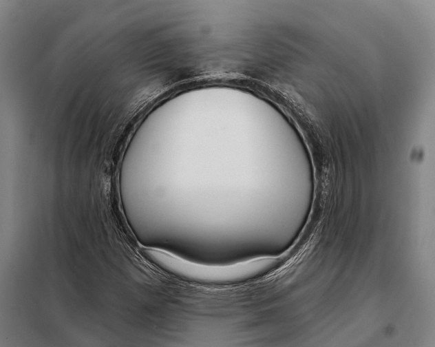 X0000097991257200804211054