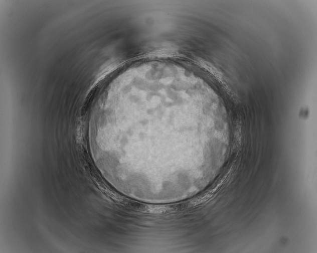 X0000097991258200804211054