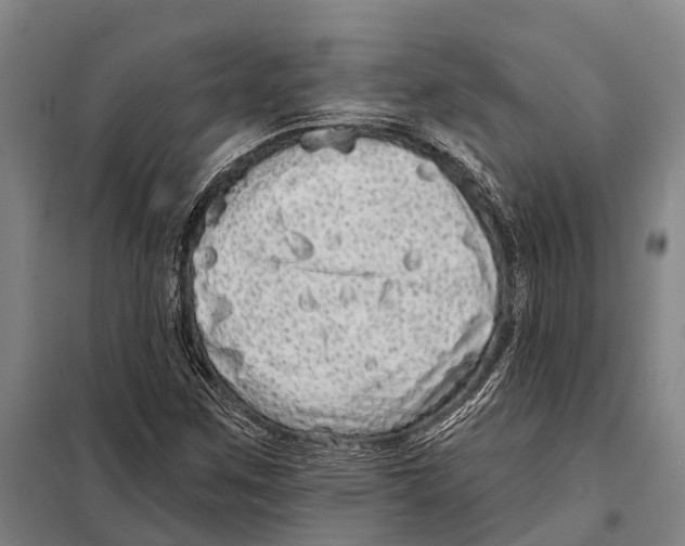 X0000097991259200804211054