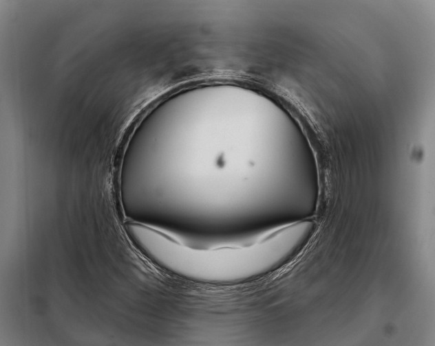 X0000097991260200804211054