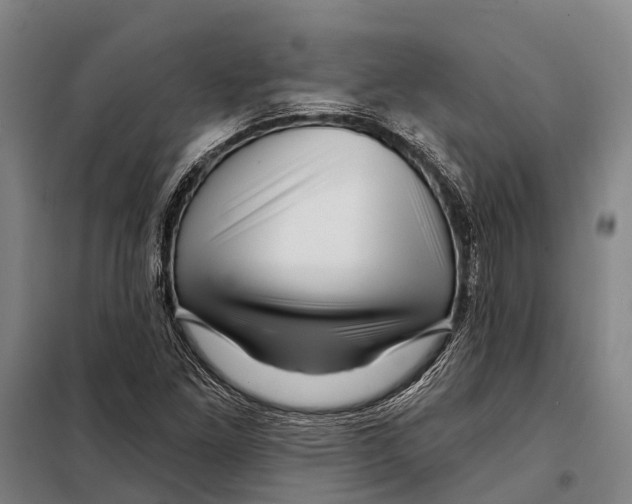 X0000097991261200804211054