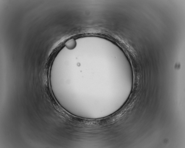 X0000097991262200804211054