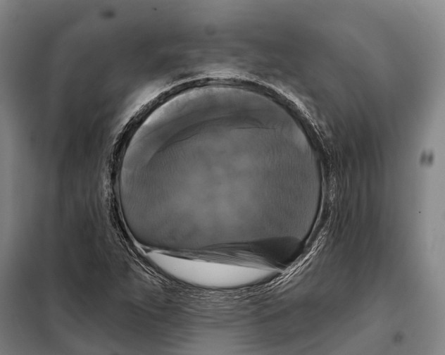 X0000097991263200804211054