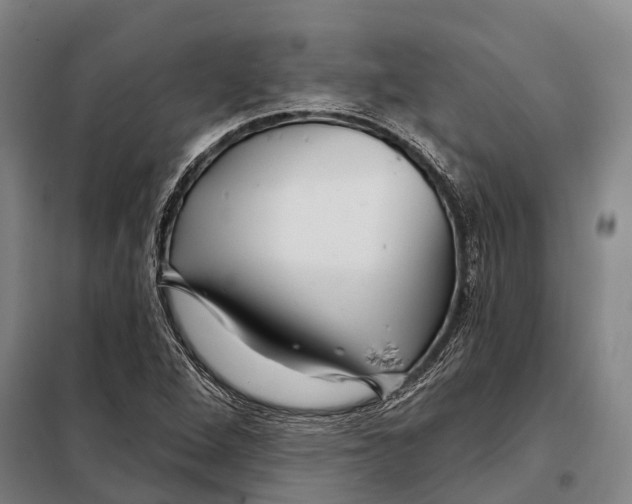 X0000097991264200804211054