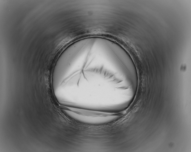 X0000097991265200804211054