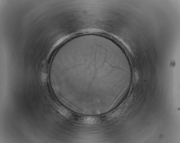 X0000097991266200804211054