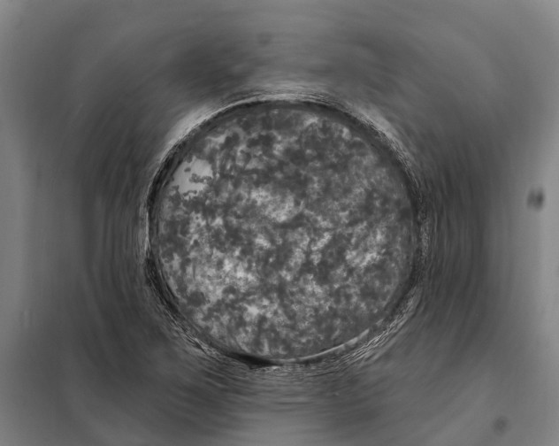 X0000097991267200804211054