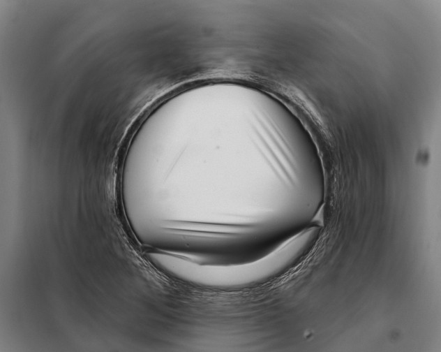 X0000097991268200804211054