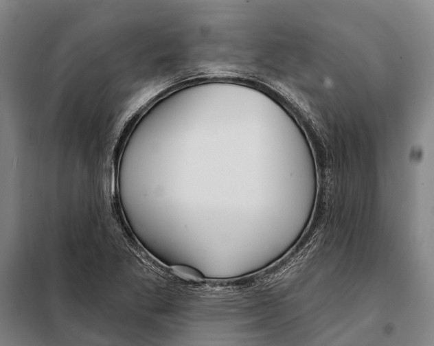 X0000097991269200804211054