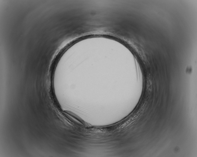 X0000097991270200804211054