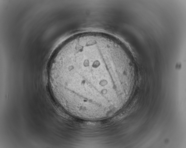 X0000097991271200804211054