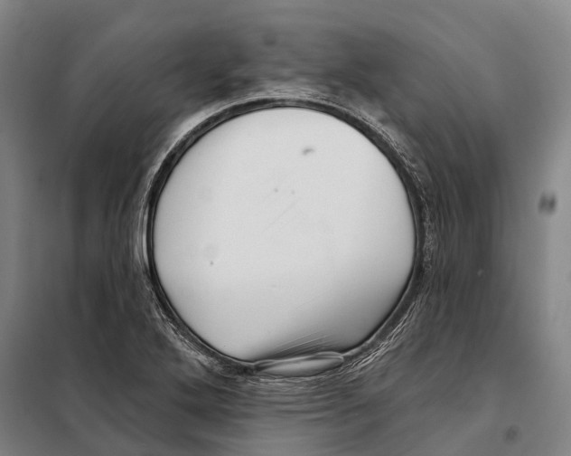 X0000097991272200804211054