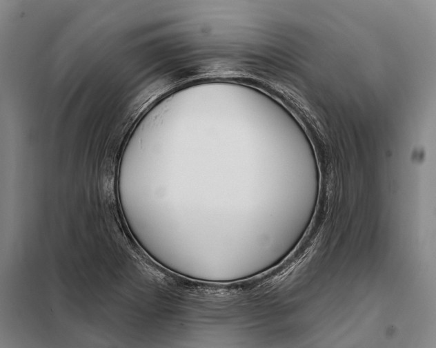 X0000097991273200804211054