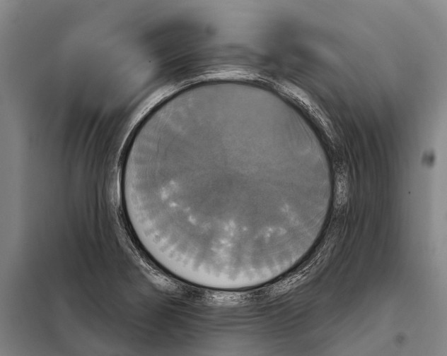 X0000097991274200804211054