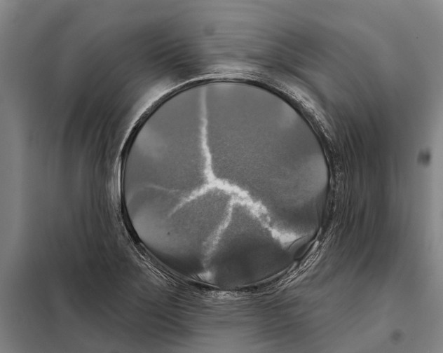 X0000097991275200804211054