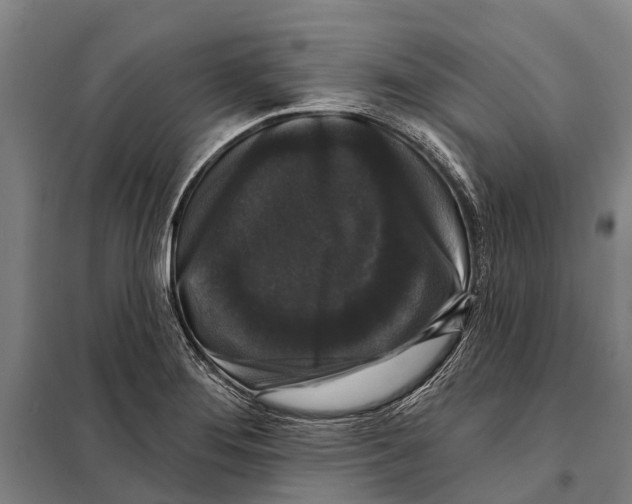 X0000097991276200804211054