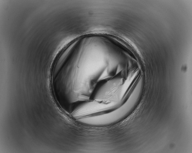 X0000097991277200804211054