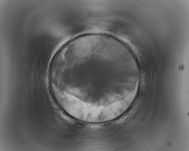 X0000097991278200804211054