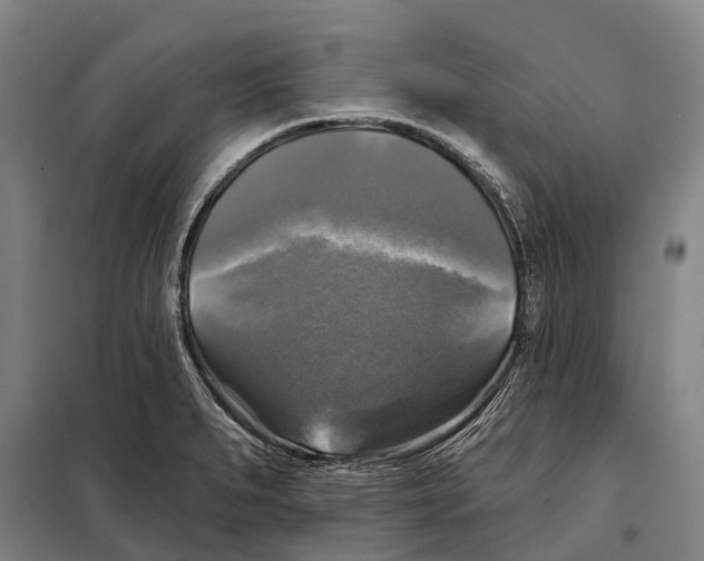 X0000097991279200804211054